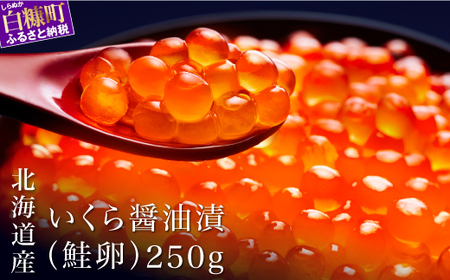 ＼高評価 4.7／ 極上の大粒いくら 250g シラリカいくら（醤油味） 鮮度維持にこだわった極上品 いくら 醤油漬け イクラ 鮭卵 鮭いくら 海鮮 人気 ランキング 北海道 白糠町 _K009-1035