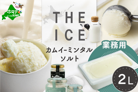 yTHE ICEz KAMUI-MINTAL SALTiJCE~^\gjWF[g 2bg CJ0000214