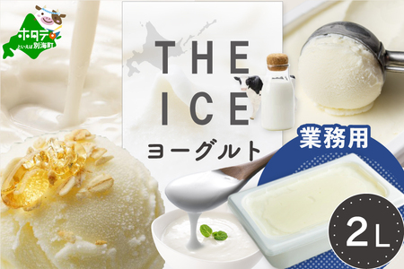 yTHE ICEz YOGURT [Og WF[g Ɩp2bg CJ0000218