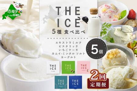 [毎月2回定期便][THE ICE]5種食べ比べ 5個セット[CJM020206]