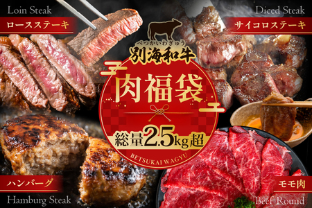 北海道 別海町 別海和牛 肉 福袋 総量 2.5kg超(モモ肉600g ハンバーグ980g(140g×7個) サイコロステーキ500g ロースステーキ500g)[FF0000028]