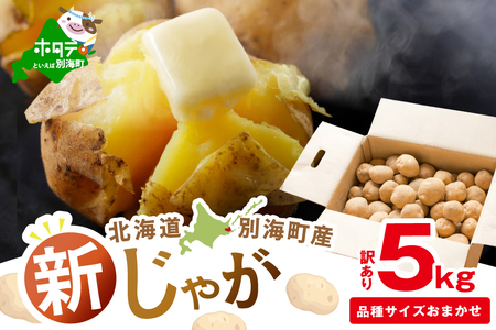 2025年10〜12月発送 北海道別海町産 じゃがいも5kg(1種おまかせ)(きたあかり、ワセシロ、男爵、メークイーン、レッドムーン)