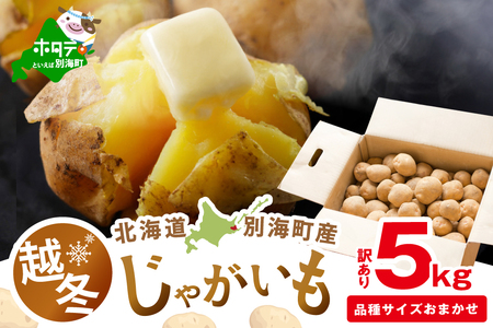 2026年3〜4月発送 北海道別海町産 越冬じゃがいも5kg(1種おまかせ)(きたあかり、ワセシロ、男爵、メークイーン、レッドムーン)