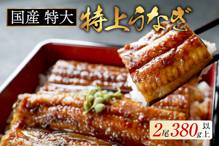 (6月発送)国産 特大 特上うなぎ 2尾 合計 380g 以上