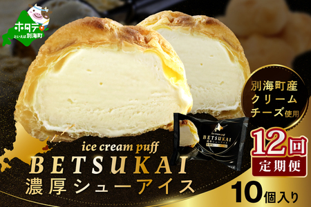 北海道 別海町 [12か月定期便] BETSUKAI 濃厚 シューアイス 10個 セット[NSM120001]