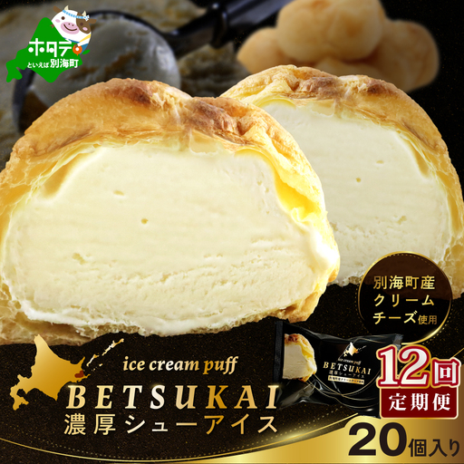北海道 別海町 【12か月定期便】 BETSUKAI 濃厚 シューアイス 20個 セット【NSM120002】
