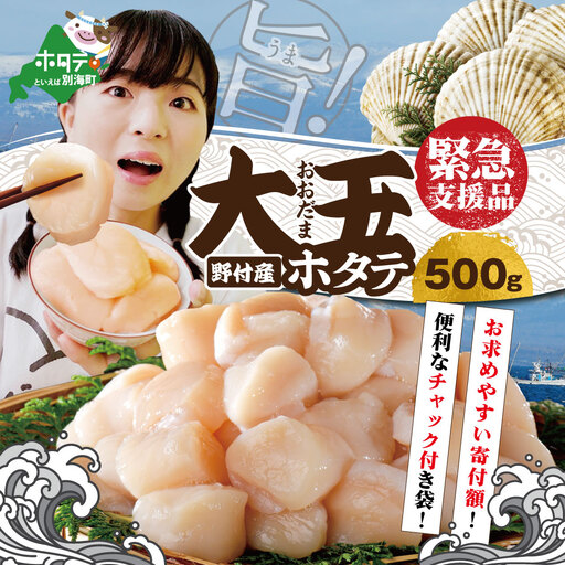 北海道 別海町 野付産 大玉 ホタテ 500g (約15玉前後)( ホタテ 帆立 貝柱 大粒 ふるさと納税 ふるさと )