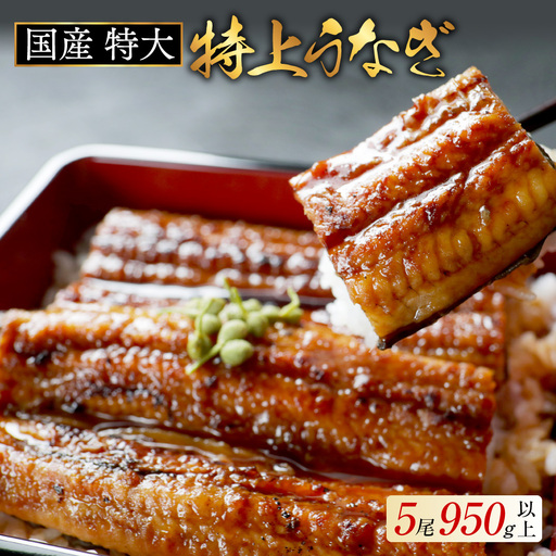 国産 特大 特上うなぎ(190g×5尾) 