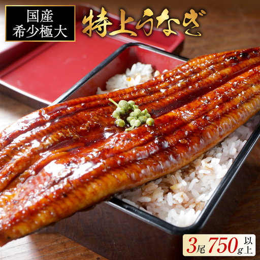 (6月)国産 希少 極大 特上うなぎ(250g×3尾) OT000OE30_006