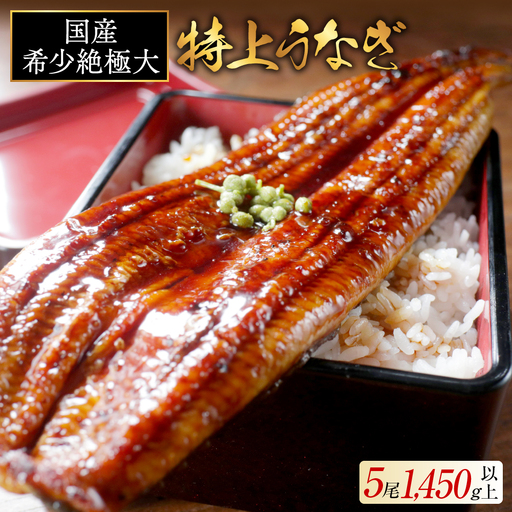 国産 希少 超極大 特上うなぎ(290g×5尾)