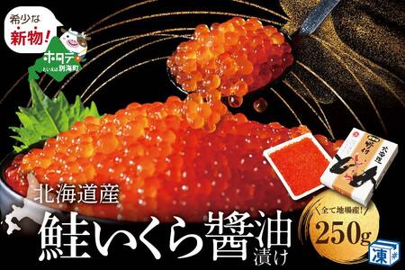 すぐ食べられる 国産 大粒 いくら 希少 新物 漁協 直送 本場 北海道  鮭 いくら 醤油漬 250g イクラ