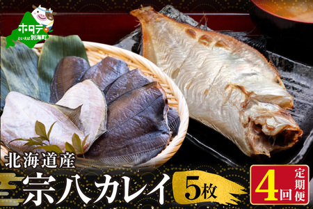 【定期便】北海道 産 一夜干し 宗八 カレイ 5枚 × 4ヵ月 【全 4回 】  （ かれい カレイ 宗八 宗八カレイ 一夜干し 干物 北海道 別海町 人気 ふるさと納税 ）