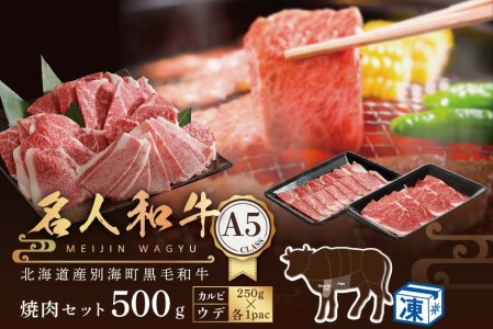 焼肉! A5 黒毛和牛 500g 焼肉用 「 名人和牛 」 (カルビ・ウデセット 250g×各1P)[TB0000006]牛肉 国産 和牛 焼き肉( 牛肉 グルメ セット 北海道産 道産 黒毛和牛 国産 人気 ふるさと納税 )