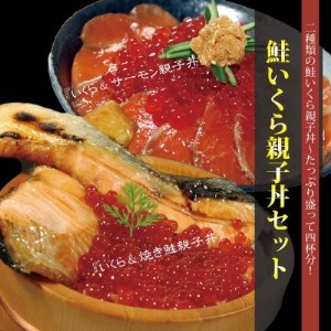 [海鮮福袋]鮭いくら親子丼(いくら醤油漬け、お刺身用ルイベサーモン、甘塩鮭切り身)福袋セット( 海鮮福袋 福袋セット )