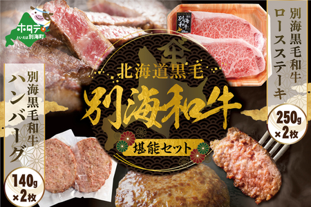 別海和牛 ロースステーキ (250g×2)+ハンバーグ (140g×2)[別海和牛] ( 牛肉 はんばーぐ ハンバーグ ロースステーキ 黒毛和牛 別海和牛 北海道 別海町 人気 ふるさと納税 )