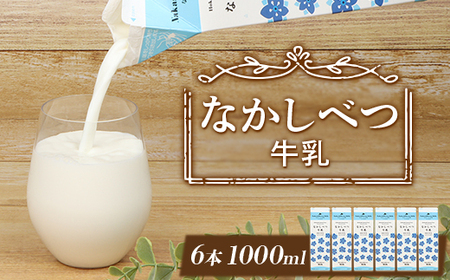 なかしべつ牛乳 1L×６本 牛乳 北海道 ミルク 乳製品 乳飲料 健康 朝食 高栄養 国産 お取り寄せ 8000円 8,000円 ふるさと納税 中標津町 中標津【1402601】