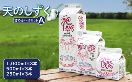 天のしずく 詰め合わせセットA(1000ml×3本・500ml×3本・250ml×3本,合計5.2L)[51001]