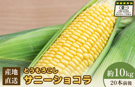 【先行予約】上原農場直送 有機栽培とうもろこし (サニーショコラ) 約10kg 約20本前後【66020】