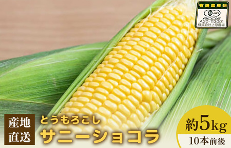 【先行予約】上原農場直送 有機栽培とうもろこし (サニーショコラ) 約5kg 約10本前後【66019】