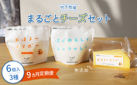 竹下牧場 takeshita farm【定期便9ヶ月】まるごとチーズセット 計560g【2402401】