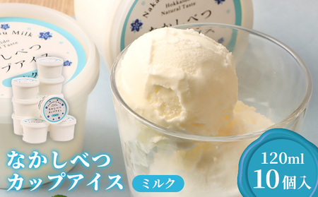 ȂׂJbvACX@~N×10i120ml×10jy14049z