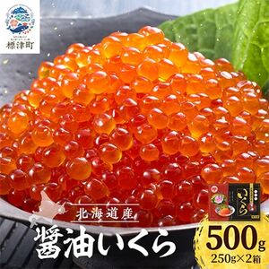yߘa6NVzݖ500g(250g×2) CN kC lC    VR_ ݖЂ Ⓚ    Y { kCY_yzsnFzy1419708z