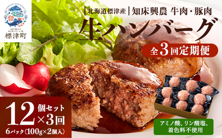 [毎月定期便]生ハンバーグ12個セット 冷凍 国産 牛肉 豚肉 ギフト 小分け 人気 全3回[配送不可地域:離島]
