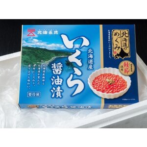北海道のめぐみ　鮭節醤油いくら　170g×2箱　 イクラ 人気 おすすめ さけ 魚卵 天然_いくら いくら醤油漬け 冷凍 小分け 鮭 鮭卵 国産 本場 北海道産_【配送不可地域：離島】【1463807】