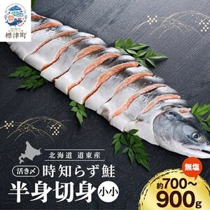 北海道道東産 活き〆時知らず鮭半身切身(小小)約700-900g 北海道 人気 おすすめ さけ 天然[配送不可地域:離島]