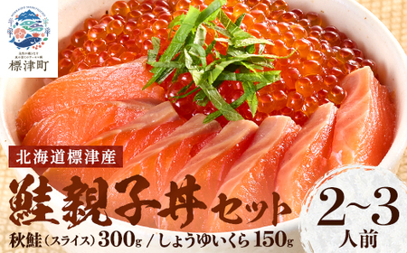 鮭親子丼セット【純標津産】2～3人前用 イクラ 北海道 人気 おすすめ サケ サーモン 魚卵 天然【配送不可地域：離島】【1176412】