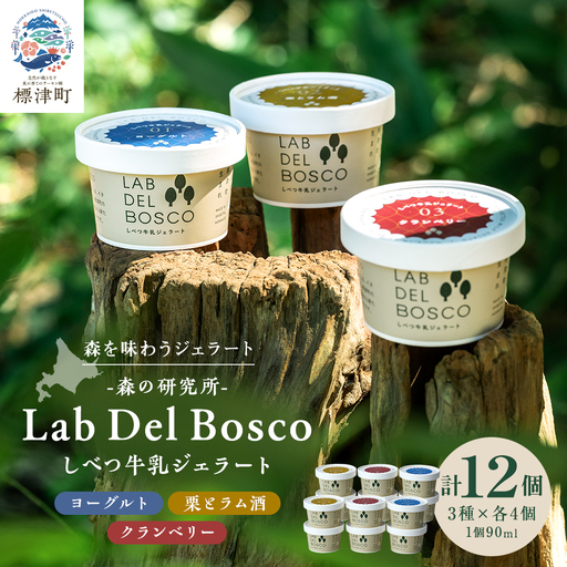 しべつ牛乳ジェラート 3種12個セット ジェラート【配送不可地域：離島】【AE016】