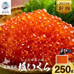 [令和7年新物]北海道産塩いくら 250g×1パック[配送不可地域:離島]