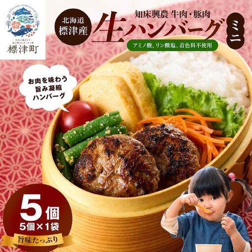 生ハンバーグミニ 5個セット(5個×1パック) ハンバーグ
