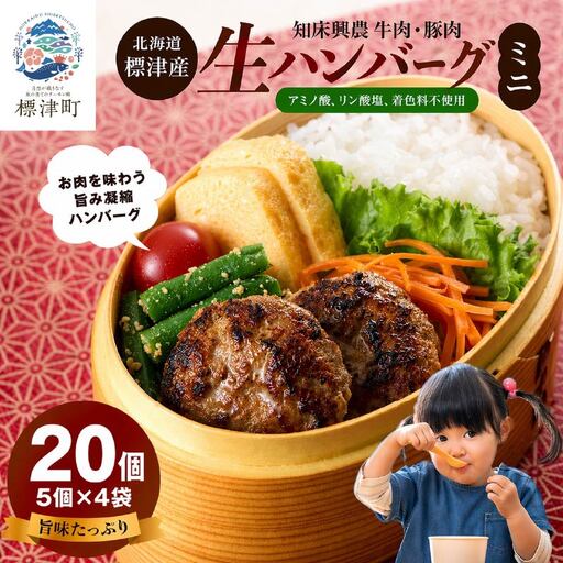 生ハンバーグミニ 20個セット(5個×4パック) ハンバーグ