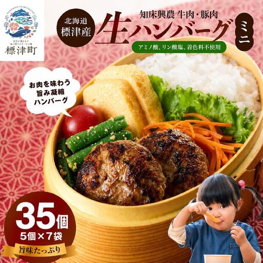生ハンバーグミニ 35個セット(5個×7パック) ハンバーグ