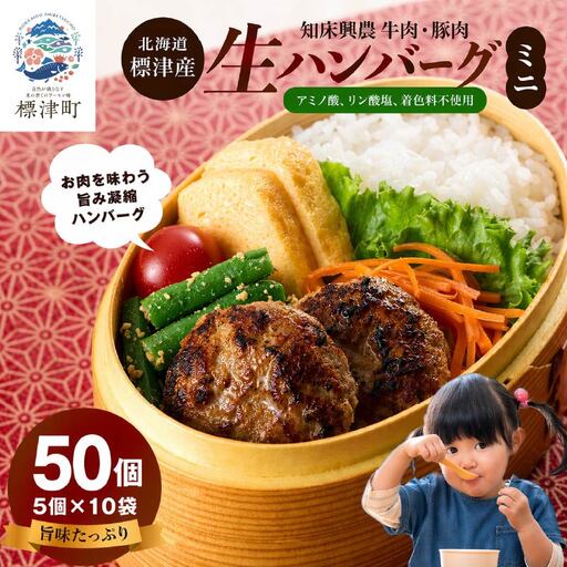 生ハンバーグミニ 50個セット(5個×10パック) ハンバーグ