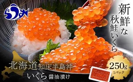 いくら醤油漬け 250g イクラ 魚卵 いくら丼 海鮮丼 ご飯のお供 羅臼町 北海道 生産者 支援 応援 いくら いくら いくら いくら いくら