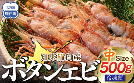 mP{^Gr() 500g Y x 