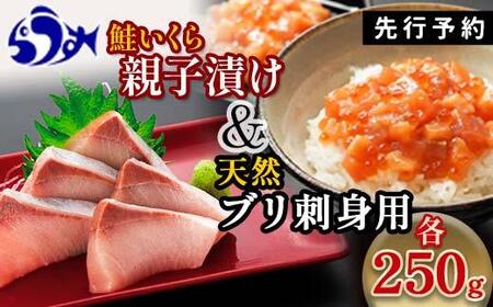 [2024年11月発送][先行予約]親子漬け・ぶり刺身セット500g(各250g×1)小分け いくら イクラ 秋鮭 さけ サケ 醤油漬け しょうゆ漬け ブリ 鰤 北海道 国産 羅臼 海鮮 魚介 ご飯のお供 生産者 支援 応援