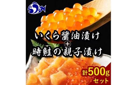 [2024年11月発送]知床羅臼産 時鮭(ときしらず)の親子漬け・醤油いくらセット(計500g)イクラ しょうゆ漬け 秋サケ さけ 海鮮 魚介 北海道 詰め合わせ 生産者 支援 応援