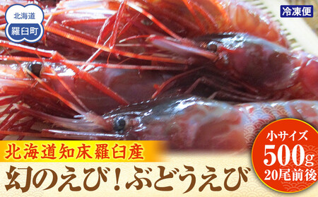 幻のぶどうえび(小・500g /20尾前後) エビ 海老 刺身 海鮮 羅臼町 北海道 海産物 魚介 魚介類 生産者 支援 応援