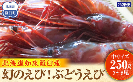 幻のぶどうえび(中・250g /7〜8尾) エビ 海老 ブドウエビ 羅臼町 北海道 魚介類 魚介 海産物 冷凍 生産者 支援 応援