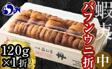 北海道知床羅臼産 天然エゾバフンうに(中)うに折 120g×1枚 2025年1月中旬から発送