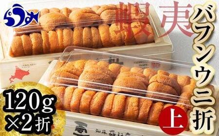 羅臼産 折うに(上) 240g (120g×2枚) 北海道 知床 羅臼産 天然 エゾバフンうに