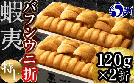 羅臼産 折うに (特上)240g(120g×2枚)北海道知床羅臼産 天然 エゾバフンうに