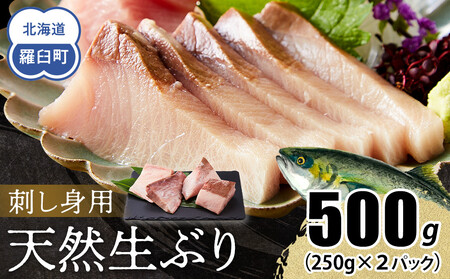[2025年1月発送]北海道 知床羅臼産 天然ぶり刺身 500g (250g×2パック) ブリブリブリブリブリブリ