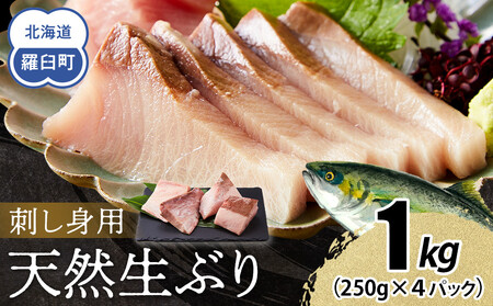 【2025年11月発送】北海道 知床羅臼産 天然ぶり刺身 1kg (250g×4パック) 魚 海産物 魚介 魚介類 ブリ 鰤 刺身 ご飯のお供 冷凍 生産者 支援 応援