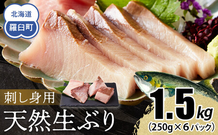 y2025N12zkC mPY VRԂhg 1.5kg (250g×6pbN)  CY   u  hg т̂ Ⓚ Y x 