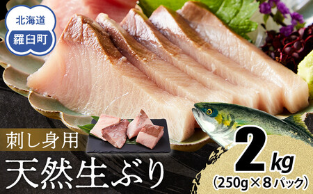 【2025年12月発送】北海道 知床羅臼産 天然ぶり刺身 2kg (250g×8パック) 魚 海産物 魚介 魚介類 ブリ 鰤 刺身 ご飯のお供 冷凍 生産者 支援 応援