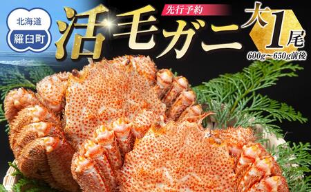  【先行予約/2026年4月発送開始】活毛ガニ　大１尾（600g～650g前後）